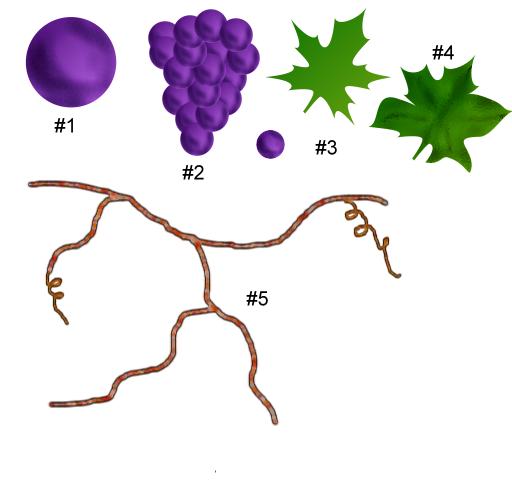 grapepaint1.jpg (20158 bytes)