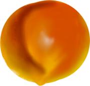 peach5.jpg (3748 bytes)