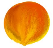 peach7.jpg (4503 bytes)